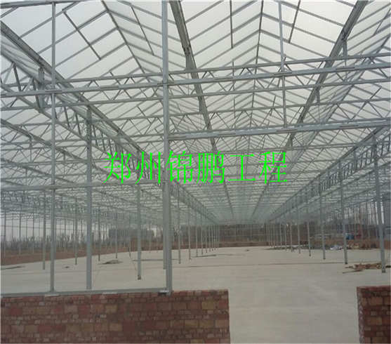 新鄉(xiāng)溫室現(xiàn)場(chǎng)